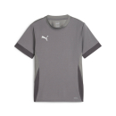 teamGOAL Matchday Trikot Junior Cast Iron-PUMA...