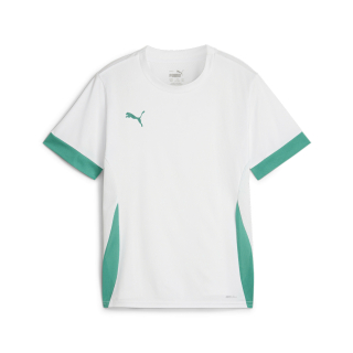 teamGOAL Matchday Jersey jr PUMA White-Sport Green-Sport Green