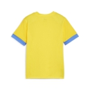 teamGOAL Matchday Jersey jr Faster Yellow-Electric Blue...