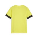 teamGOAL Matchday Trikot Junior Fluro Yellow Pes-PUMA...