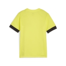 teamGOAL Matchday Jersey jr Fluro Yellow Pes-PUMA Black-PUMA Black