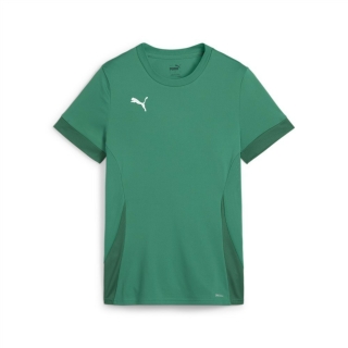 teamGOAL Matchday Jersey Wmns Sport Green-PUMA White-Power Green