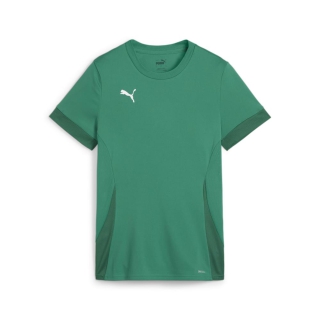 teamGOAL Matchday Damen-Trikot Sport Green-PUMA White-Power Green