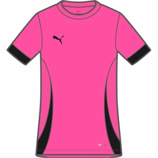 teamGOAL Matchday Jersey Wmns Fluro Pink Pes-PUMA Black