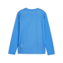 teamGOAL LS Jersey Jr Electric Blue Lemonade-PUMA...