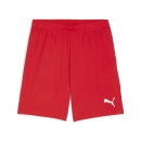 teamGOAL Shorts PUMA Red-PUMA White