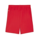 teamGOAL Shorts PUMA Red-PUMA White