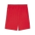 teamGOAL Shorts PUMA Red-PUMA White