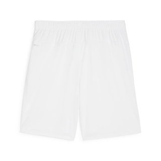 teamGOAL Shorts PUMA White-PUMA Black