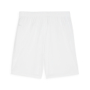 teamGOAL Shorts PUMA White-PUMA Black