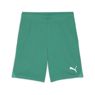 teamGOAL Short Sport Green-PUMA White