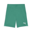 teamGOAL Shorts Sport Green-PUMA White