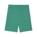 teamGOAL Shorts Sport Green-PUMA White