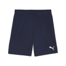 teamGOAL Shorts PUMA Navy-PUMA White