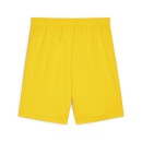 teamGOAL Shorts Faster Yellow-PUMA Black