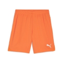 teamGOAL Shorts Rickie Orange-PUMA White