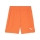 teamGOAL Shorts Rickie Orange-PUMA White