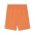 teamGOAL Shorts Rickie Orange-PUMA White