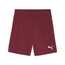 teamGOAL Short Team Regal Red-PUMA White