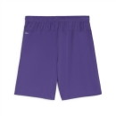 teamGOAL Shorts Team Violet-PUMA White