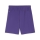 teamGOAL Shorts Team Violet-PUMA White