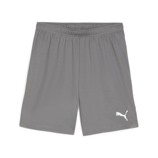 teamGOAL Short Cast Iron-PUMA White