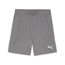 teamGOAL Shorts Cast Iron-PUMA White