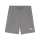 teamGOAL Shorts Cast Iron-PUMA White