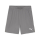 teamGOAL Short Cast Iron-PUMA White