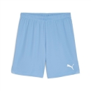 teamGOAL Shorts Team Light Blue-PUMA White