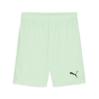 teamGOAL Short Fresh Mint-PUMA Black