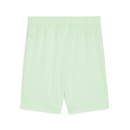 teamGOAL Shorts Fresh Mint-PUMA Black