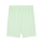 teamGOAL Shorts Fresh Mint-PUMA Black