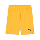 teamGOAL Shorts Sun Stream-PUMA Black