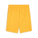 teamGOAL Short Sun Stream-PUMA Black