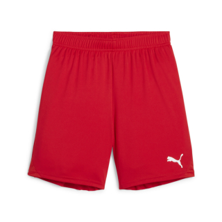 teamGOAL Shorts Jr PUMA Red-PUMA White