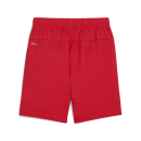 teamGOAL Short Junior PUMA Red-PUMA White