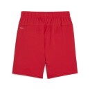 teamGOAL Shorts Jr PUMA Red-PUMA White