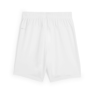 teamGOAL Short Junior PUMA White-PUMA Black