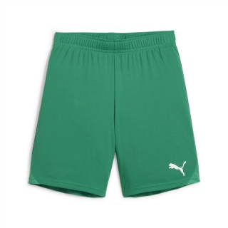 teamGOAL Short Junior Sport Green-PUMA White