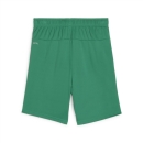 teamGOAL Shorts Jr Sport Green-PUMA White