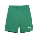 teamGOAL Shorts Jr Sport Green-PUMA White
