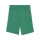 teamGOAL Shorts Jr Sport Green-PUMA White