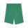 teamGOAL Short Junior Sport Green-PUMA White