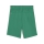 teamGOAL Shorts Jr Sport Green-PUMA White