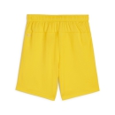 teamGOAL Shorts Jr Faster Yellow-PUMA Black
