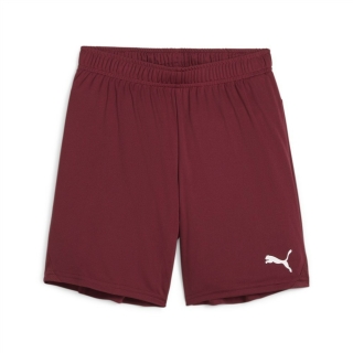 teamGOAL Shorts Jr Team Regal Red-PUMA White