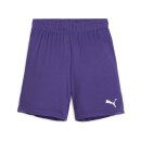 teamGOAL Shorts Jr Team Violet-PUMA White