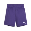 teamGOAL Short Junior Team Violet-PUMA White