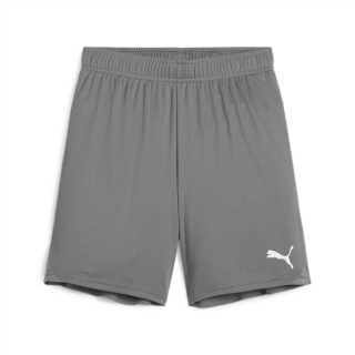 teamGOAL Short Junior Cast Iron-PUMA White